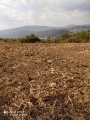 תמונה ממוזערת לגרסה מתאריך 11:54, 16 בספטמבר 2021