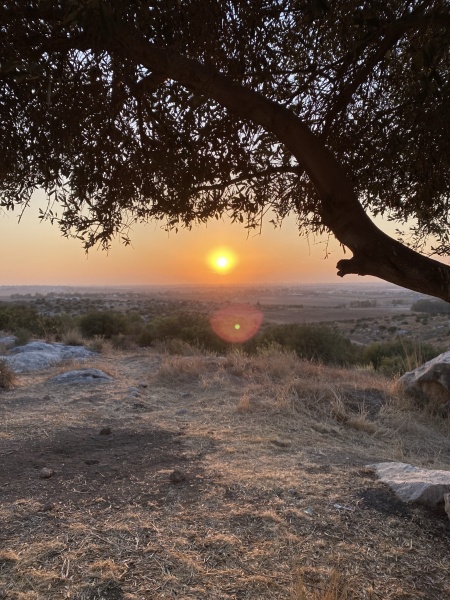 קובץ:2021-09-22T16 30 39.280579821529.jpg