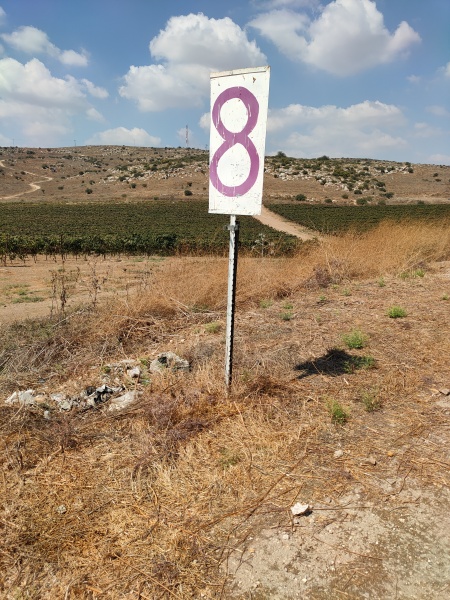 קובץ:2021-09-29T12 46 26.83370763908.jpg