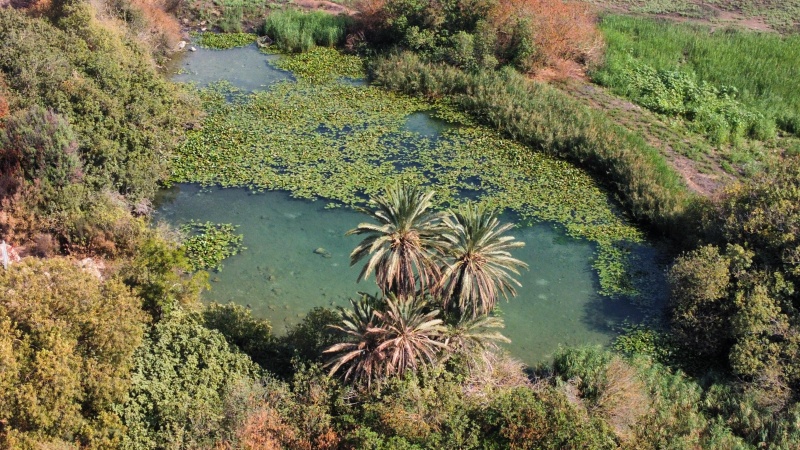 קובץ:2021-10-01T10 19 20.009984815505.jpg