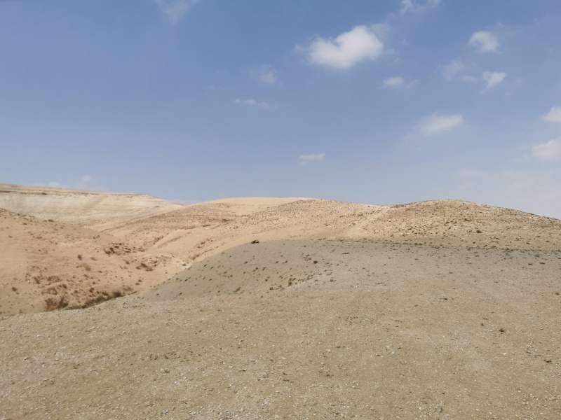 קובץ:2021-10-02T12 46 34.570910916351.jpg