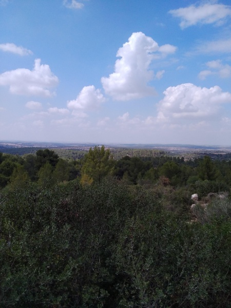 קובץ:2021-10-03T13 18 51.423652687357.jpg