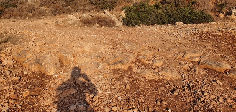 קובץ:2021-10-08T17 18 29.012915983994.jpg