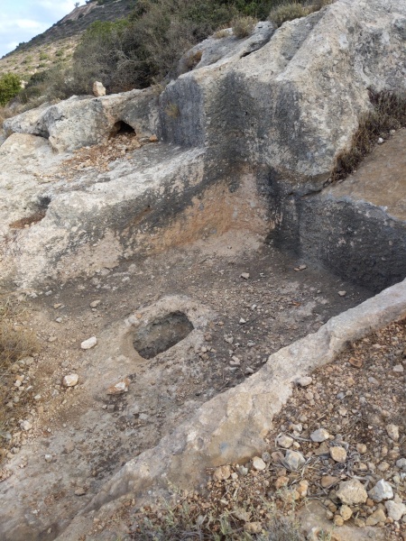 קובץ:2021-10-24T09 01 26.334876354097.jpg