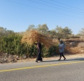 תמונה ממוזערת לגרסה מתאריך 17:29, 26 באוקטובר 2021