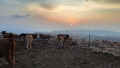 תמונה ממוזערת לגרסה מתאריך 08:26, 5 בנובמבר 2021