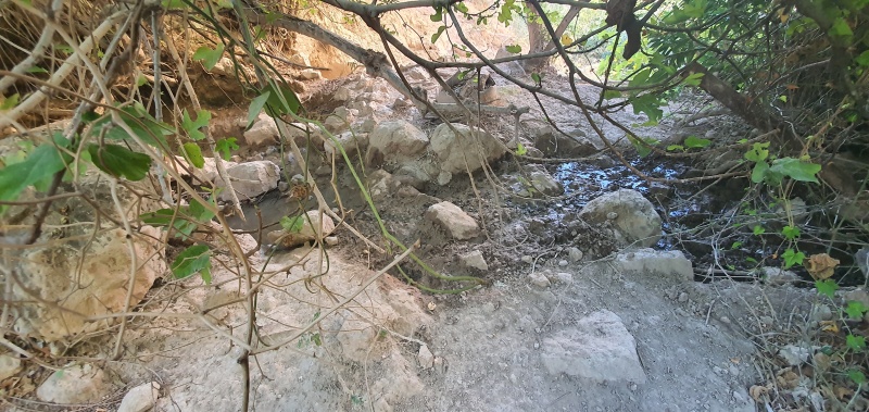 קובץ:2021-11-06T13 53 47.414617144815.jpg