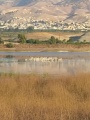 תמונה ממוזערת לגרסה מתאריך 09:23, 14 בנובמבר 2021