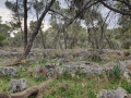 תמונה ממוזערת לגרסה מתאריך 07:37, 16 בדצמבר 2021