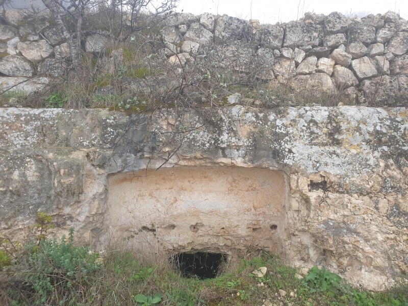 קובץ:2021-12-17T07 40 16.838024788989.jpg