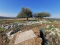 תמונה ממוזערת לגרסה מתאריך 07:36, 26 בדצמבר 2021