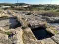 תמונה ממוזערת לגרסה מתאריך 13:08, 26 בדצמבר 2021