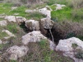 תמונה ממוזערת לגרסה מתאריך 14:49, 26 בדצמבר 2021