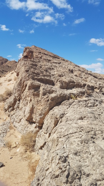 קובץ:2021.03.27-121754.264.android.jpg