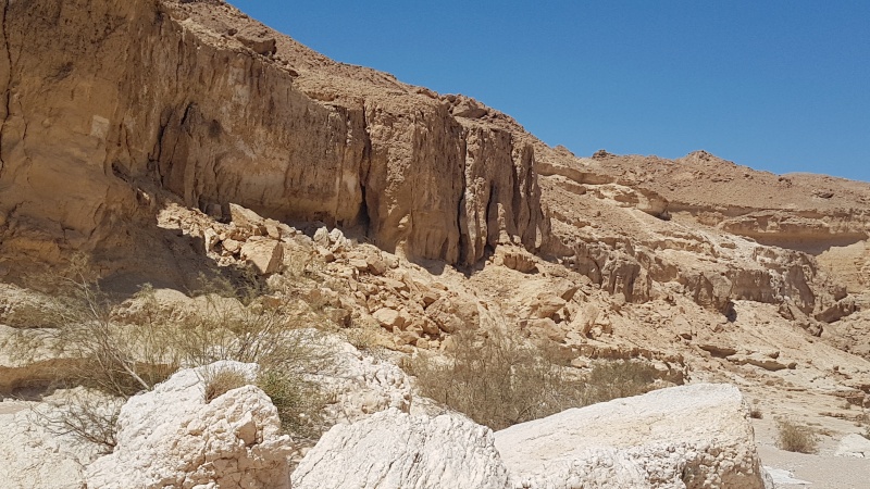 קובץ:2021.03.28-131047.571.android.jpg