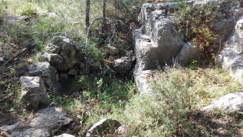 קובץ:2021.04.15-170112.608.android.jpg