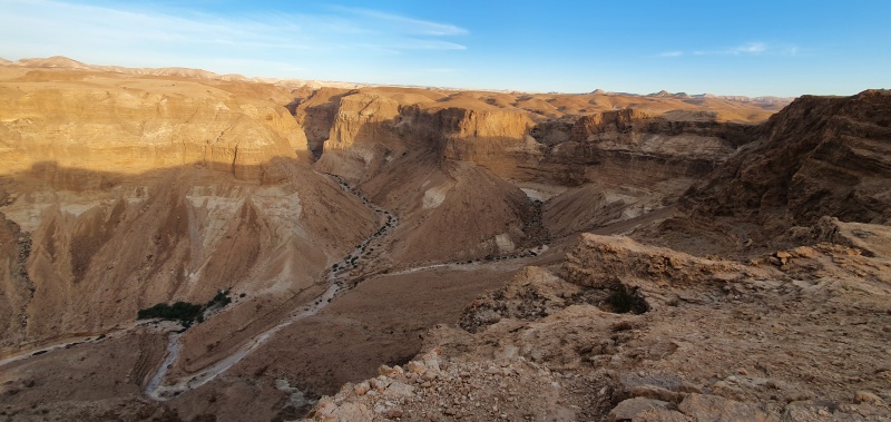 קובץ:20210608 062522.jpg