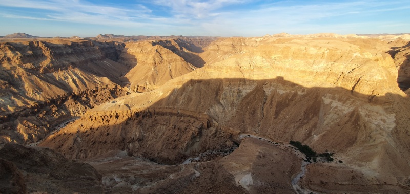 קובץ:20210608 063131.jpg