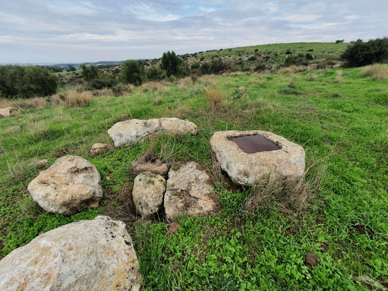 קובץ:2022-01-01T10 17 45.18151653746.jpg