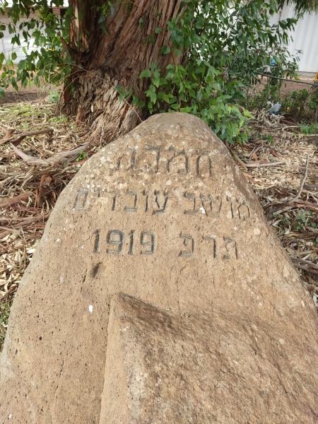 קובץ:2022-01-01T13 45 21.358764608371.jpg