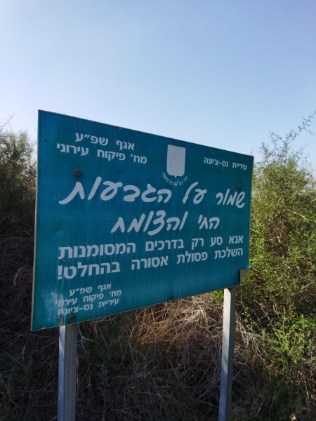 קובץ:2022-01-06T11 44 48.504333939480.jpg