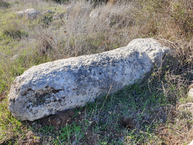 קובץ:2022-01-09T09 09 06.21148910833.jpg