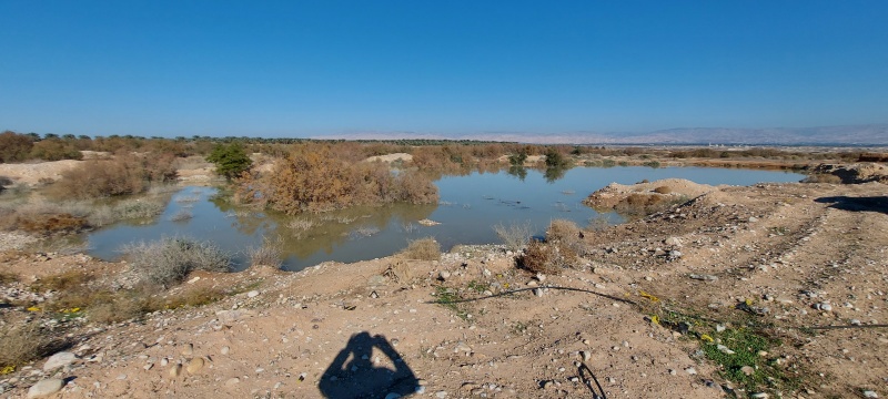 קובץ:2022-01-18T13 59 11.738187708824.jpg