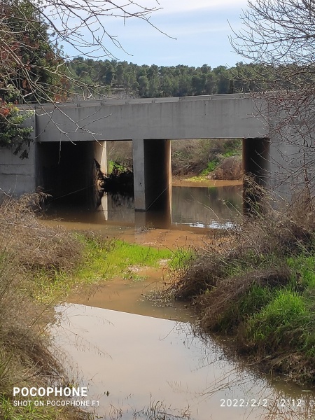 קובץ:2022-02-02T12 12 55.321025888459.jpg