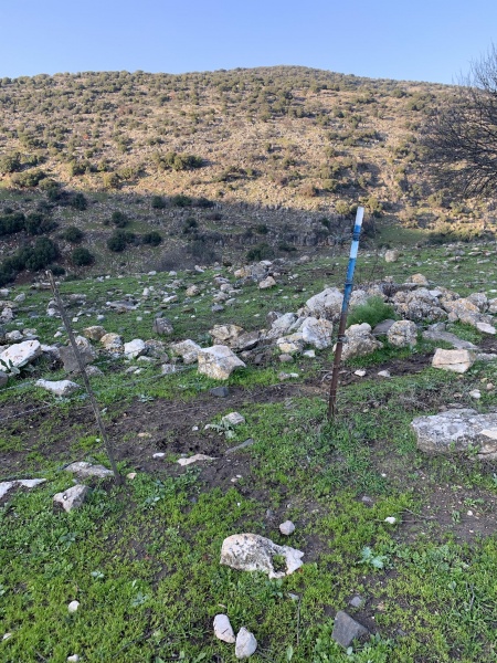 קובץ:2022-02-08T15 52 21.73169846127.jpg