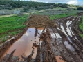 תמונה ממוזערת לגרסה מתאריך 11:14, 10 בפברואר 2022