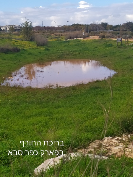 קובץ:2022-02-11T07 05 57.65885156490.jpg