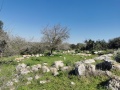 תמונה ממוזערת לגרסה מתאריך 09:10, 12 בפברואר 2022