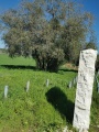 תמונה ממוזערת לגרסה מתאריך 09:54, 12 בפברואר 2022