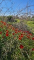 תמונה ממוזערת לגרסה מתאריך 16:34, 19 בפברואר 2022