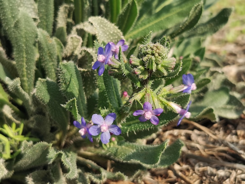 קובץ:2022-02-21T08 52 26.674258609059.jpg