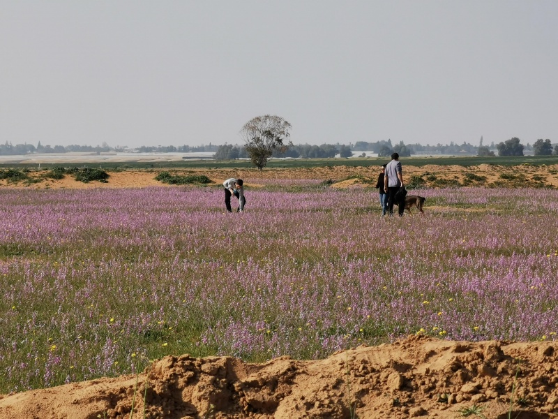 קובץ:2022-02-21T14 31 45.995594880958.jpg