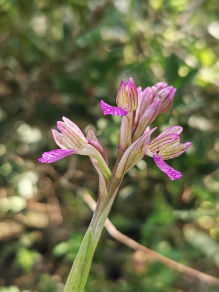 קובץ:2022-02-23T11 10 55.002411445033.jpg