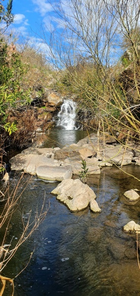 קובץ:2022-02-23T17 11 12.972793379021.jpg