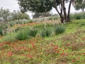 תמונה ממוזערת לגרסה מתאריך 09:26, 26 בפברואר 2022