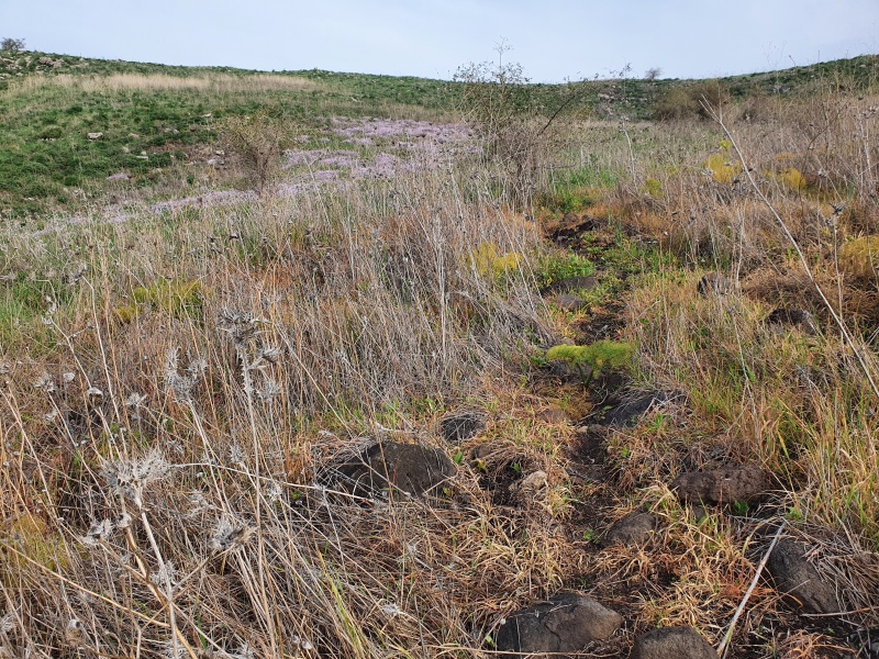 קובץ:2022-03-01T07 50 18.465467787032.jpg