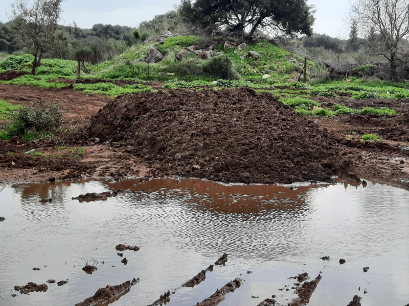 קובץ:2022-03-03T14 00 51.937211777110.jpg