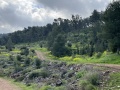 תמונה ממוזערת לגרסה מתאריך 06:53, 4 במרץ 2022