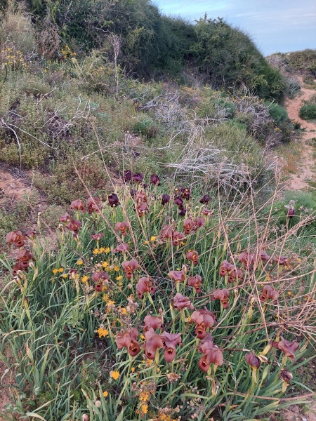 קובץ:2022-03-08T17 27 28.837803208237.jpg