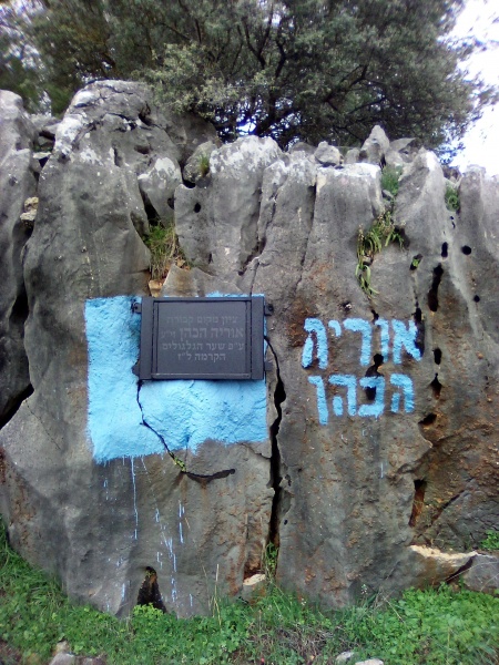 קובץ:2022-03-13T15 04 04.068891835907.jpg