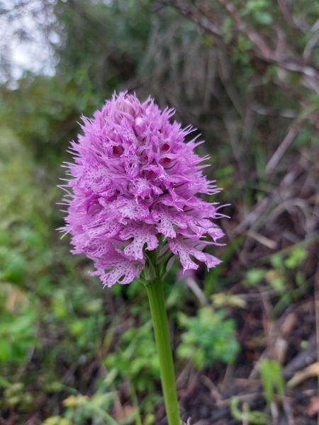 קובץ:2022-03-23T12 31 28.738303945761.jpg