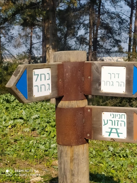 קובץ:2022-03-26T09 25 59.676407908574.jpg