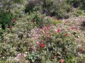 תמונה ממוזערת לגרסה מתאריך 09:53, 26 במרץ 2022