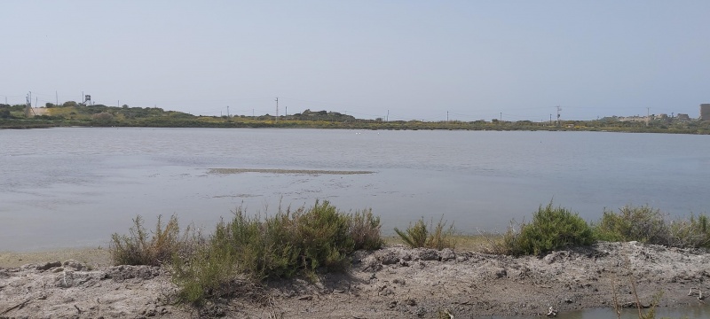 קובץ:2022-04-06T13 58 21.643202586930.jpg