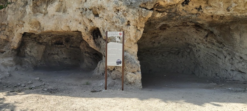 קובץ:2022-04-09T15 10 19.646411426108.jpg