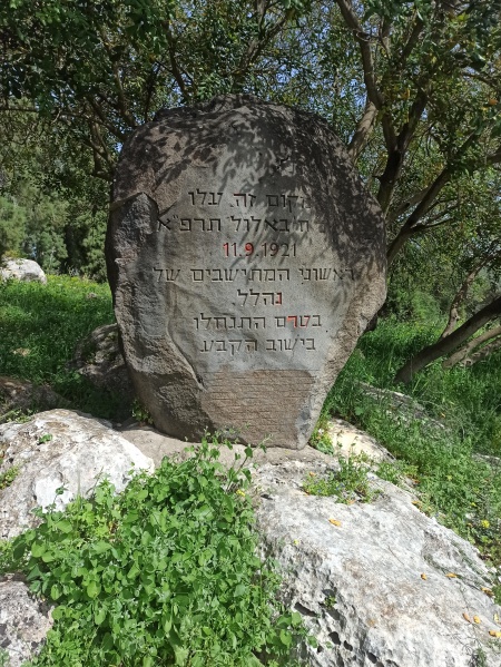 קובץ:2022-04-10T15 13 54.353661916308.jpg